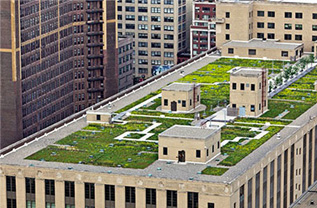 Green Rroofing