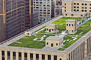 Green Roofing